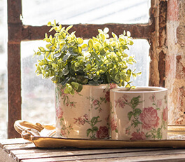 An idyllic and sunny setting with two flower pots on a wooden surface, in front of a window with a weathered appearance. The pots have a vintage design with a cream base and a flower pattern featuring roses in pink and green hues. The light shining through the window gives the scene a warm and inviting atmosphere. The setting exudes rustic charm, and it appears to be a part of a rural interior.