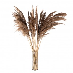 25DF0009 Dried Flowers 100 cm Brown Dried Flowers Bouquet of Dried Flowers