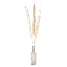 25DF0021 Dried Flowers 90 cm White Dried Flowers Bouquet of Dried Flowers