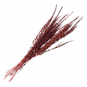 25DF0025 Dried Flowers 85 cm Red Dried Flowers Bouquet of Dried Flowers