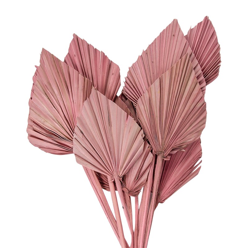 5DF0029 Dried Flowers 55 cm Pink Dried Flowers Bouquet of Dried Flowers