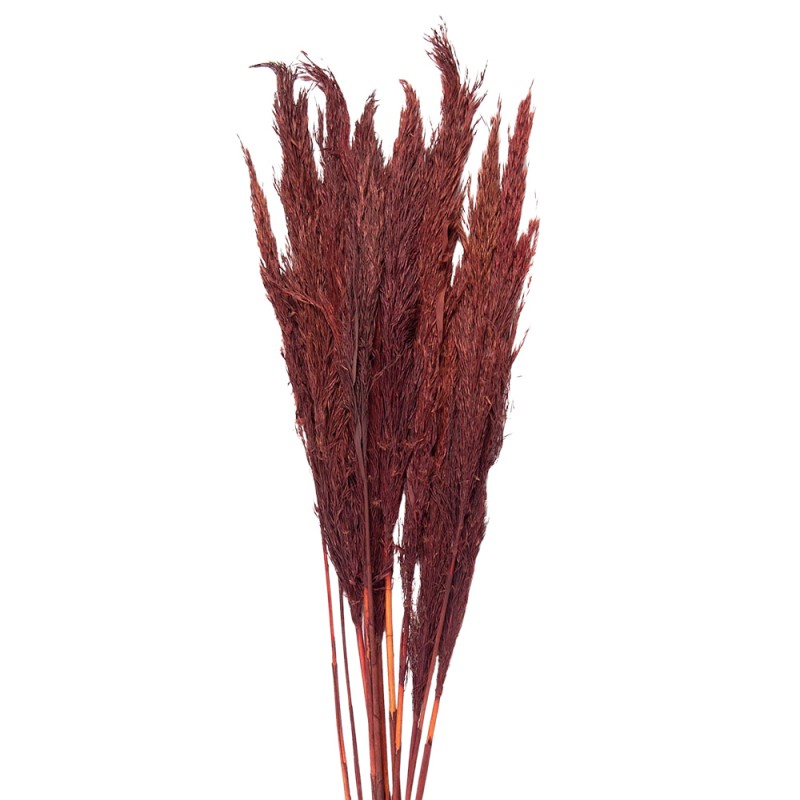 5DF0032 Dried Flowers 100 cm Red Dried Flowers Bouquet of Dried Flowers