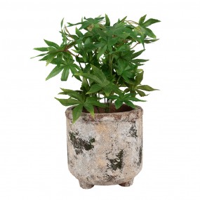 26TE0525L Pot de fleurs Ø 17x17 cm Beige Terre cuite