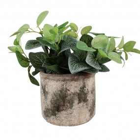 26TE0516M Planter Ø 14x12 cm Beige Green Terracotta