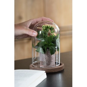 26GL1944 Cloche Ø 12x16 cm Transparent Glass Wood