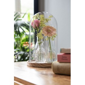 26GL2170 Cloche Ø 18x28 cm Glass Round Glass Bell Jar