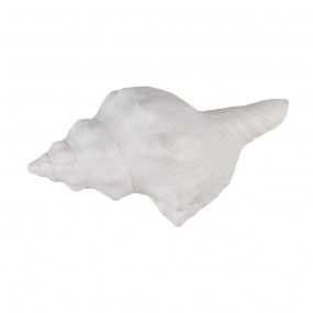 265733 Pomello Conchiglia 10x5x6 cm Bianco Plastica