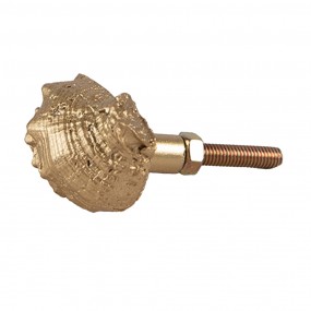 265744 Door Knob Shell 4x3x3 cm Gold colored Plastic