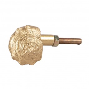 265745 Door Knob Shell 5x3x3 cm Gold colored Plastic