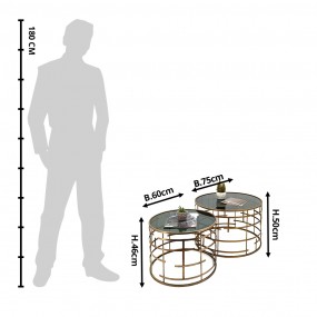 2MT50680 Bijzettafel Set van 2  Ø 75 / Ø 60 cm Goudkleurig Metaal Glas Rond Salontafel