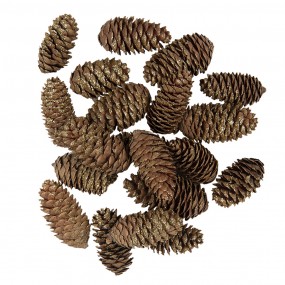 64584 Decorative Pinecone...