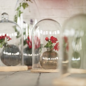 26GL2169 Cloche Ø 17x25 cm Glass Wood Round Glass Bell Jar