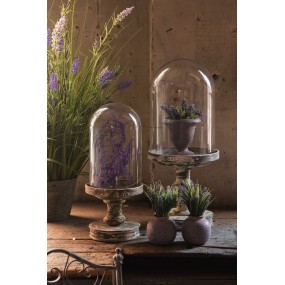 26GL3011M Cloche Ø 16x38 cm Wood Metal Round Glass Bell Jar