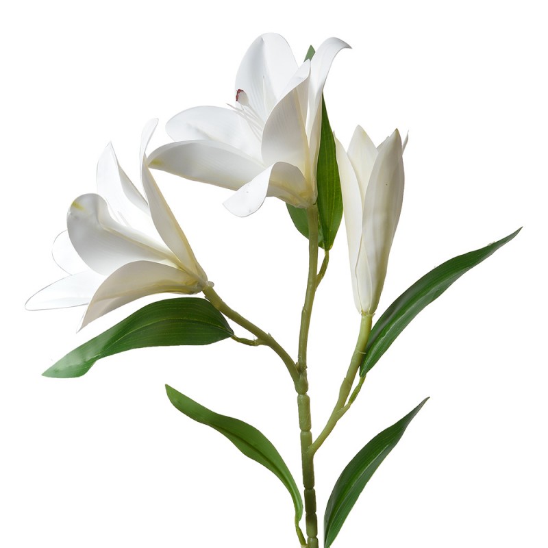 5PL0119W Fiore artificiale 71 cm Bianco Plastica