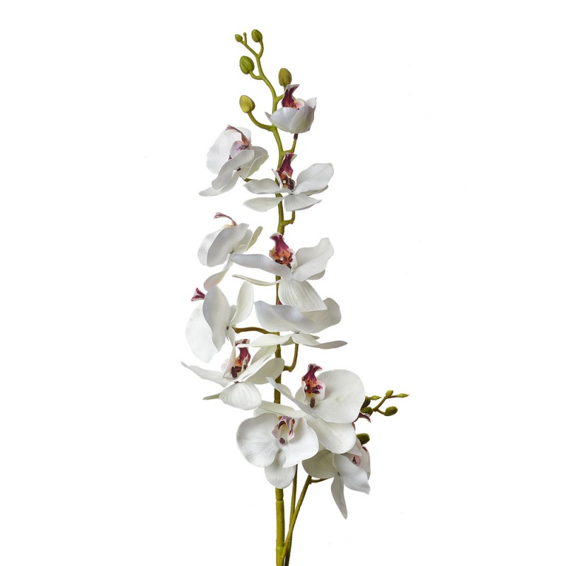 5PL0126 Artificial Flower 115 cm White Plastic