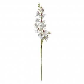 25PL0126 Fleur artificielle 115 cm Blanc Plastique