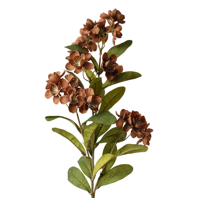 6PL0343CH Artificial Flower 70 cm Brown Plastic