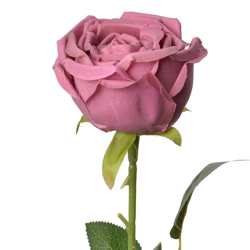 6PL0369DP Fiore artificiale Rosa 61 cm Rosa Plastica