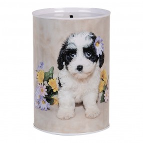 6BL0161 Money Box Ø 10x15...