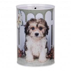 6BL0163 Money Box Ø 10x15...