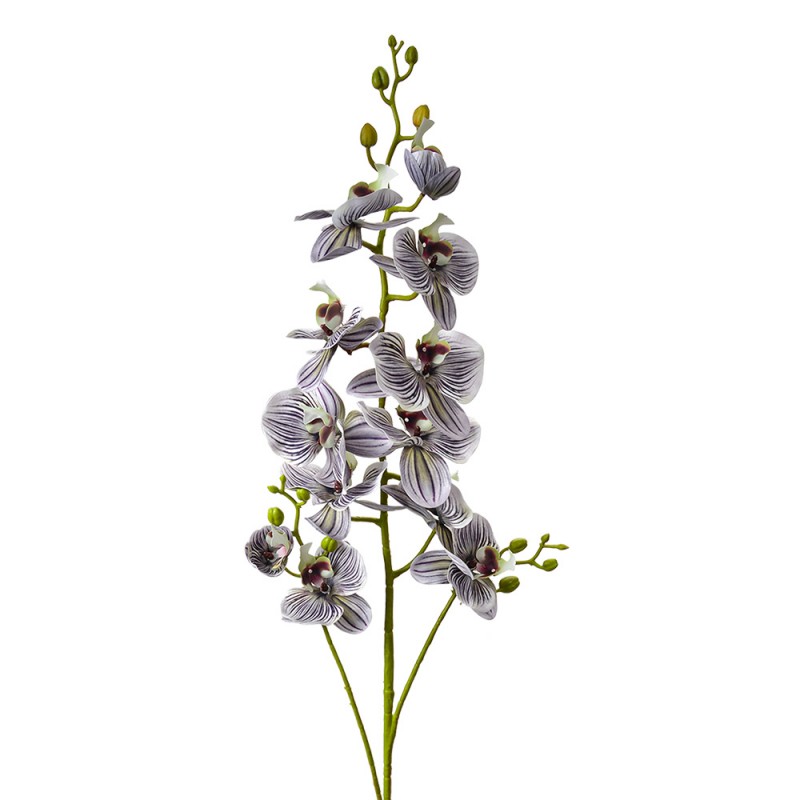 5PL0170PA Kunstblume 116 cm Violett Kunststoff 5PL0170PA Kunstblume 116 cm Violett Kunststoff