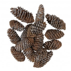 64583 Pinecone 7/9 cm Brown