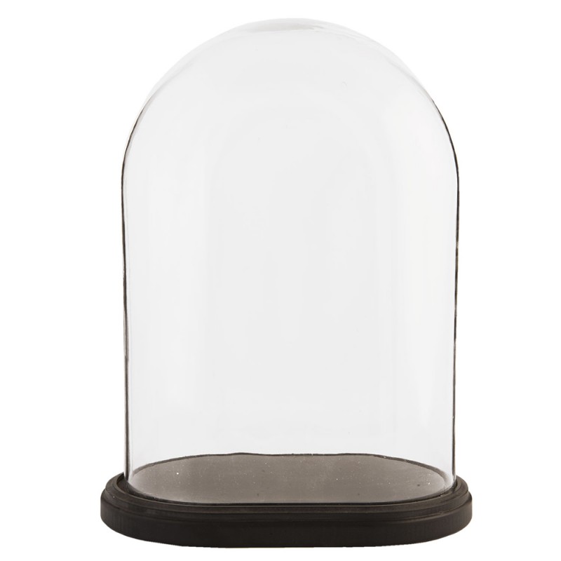 6GL1267 Cloche 33x22x42 cm Brown Glass Wood Oval Glass Bell Jar