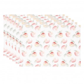 APY40 Placemats Set of 6...
