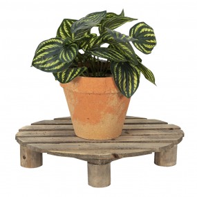 26H2223 Plant Table 30x24x6 cm Brown Wood Oval Plant Stand