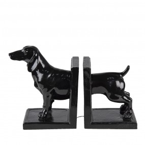 6PR4623 Bookends Set of 2...