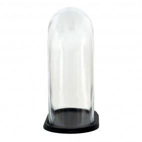 26GL3480 Cloche 34x20x40 cm Wood Glass Oval Glass Bell Jar