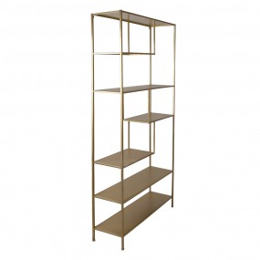 25Y1117 Wall Rack 80x26x170 cm Golden color Iron Rectangle