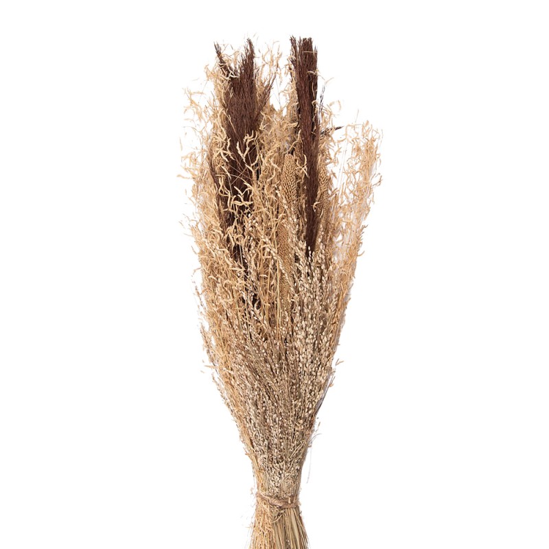 5DF0001 Dried Flowers 60 cm Brown Dried Flowers Bouquet of Dried Flowers