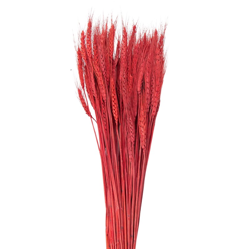5DF0012 Dried Flowers 80 cm Red Dried Flowers Bouquet of Dried Flowers