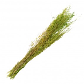 25DF0016 Dried Flowers 90 cm Green Dried Flowers Bouquet of Dried Flowers