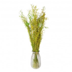 25DF0016 Dried Flowers 90 cm Green Dried Flowers Bouquet of Dried Flowers