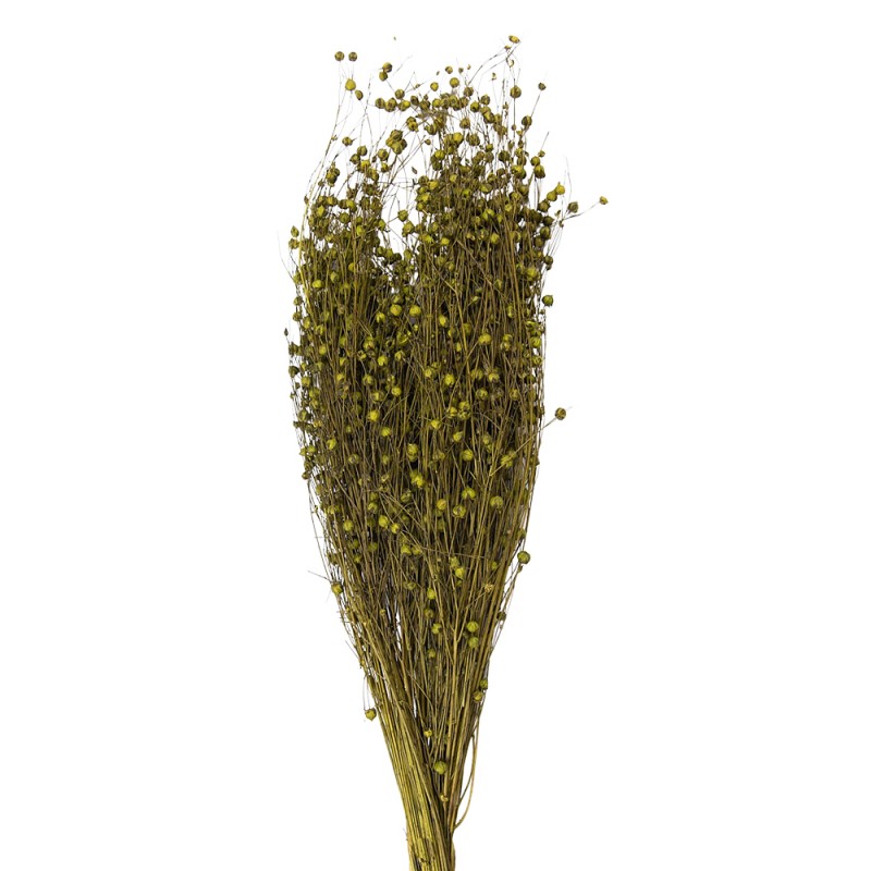 5DF0018 Dried Flowers 60 cm Green Dried Flowers Bouquet of Dried Flowers