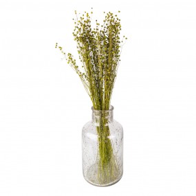 25DF0018 Dried Flowers 60 cm Green Dried Flowers Bouquet of Dried Flowers