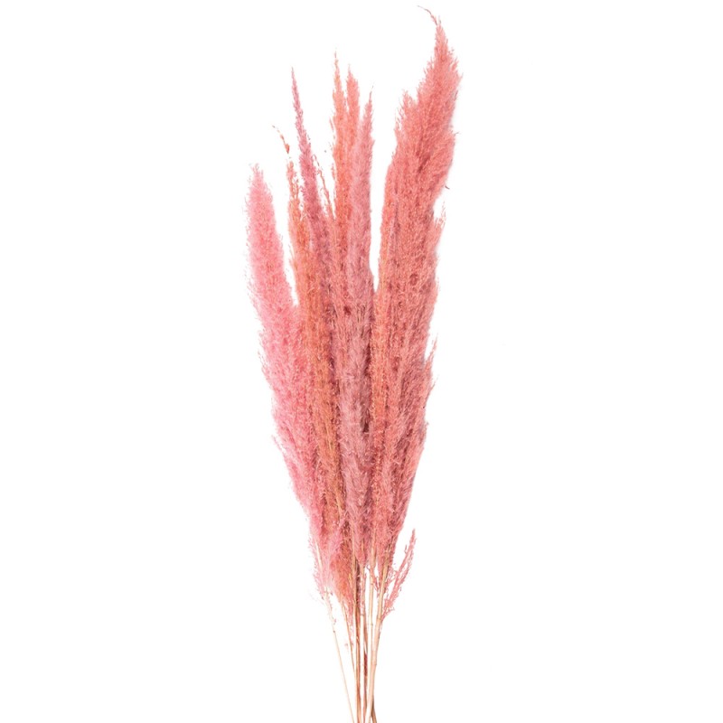 5DF0022 Dried Flowers 100 cm Pink Dried Flowers Bouquet of Dried Flowers