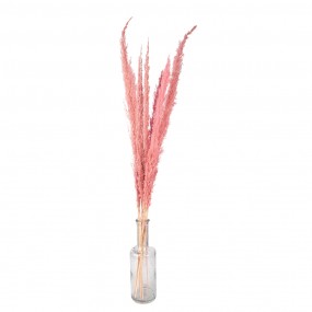 25DF0022 Dried Flowers 100 cm Pink Dried Flowers Bouquet of Dried Flowers