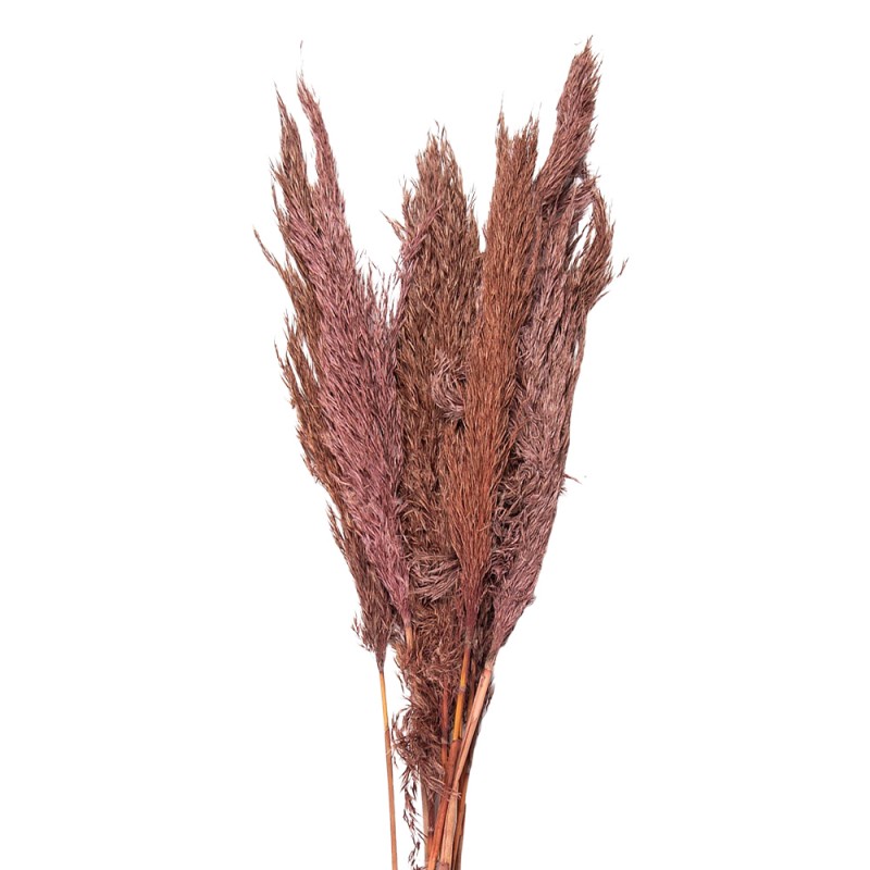 5DF0024 Dried Flowers 100 cm Pink Dried Flowers Bouquet of Dried Flowers