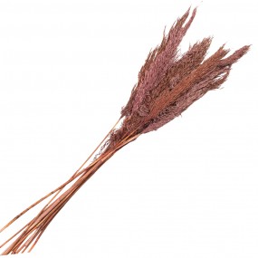 25DF0024 Dried Flowers 100 cm Pink Dried Flowers Bouquet of Dried Flowers