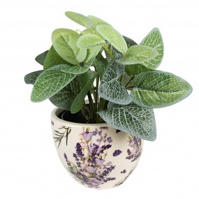 6CE1553XS Pot de fleurs d'intérieur Ø 11x9 cm Violet Céramique Lavande Pot  pour plantes