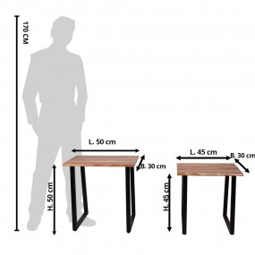 265162 Table d'appoint set de 2 50x30x50 Marron Bois Fer Rectangle Table d'appoint