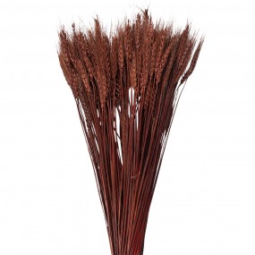 25DF0011 Dried Flowers 80 cm Brown Dried Flowers Bouquet of Dried Flowers