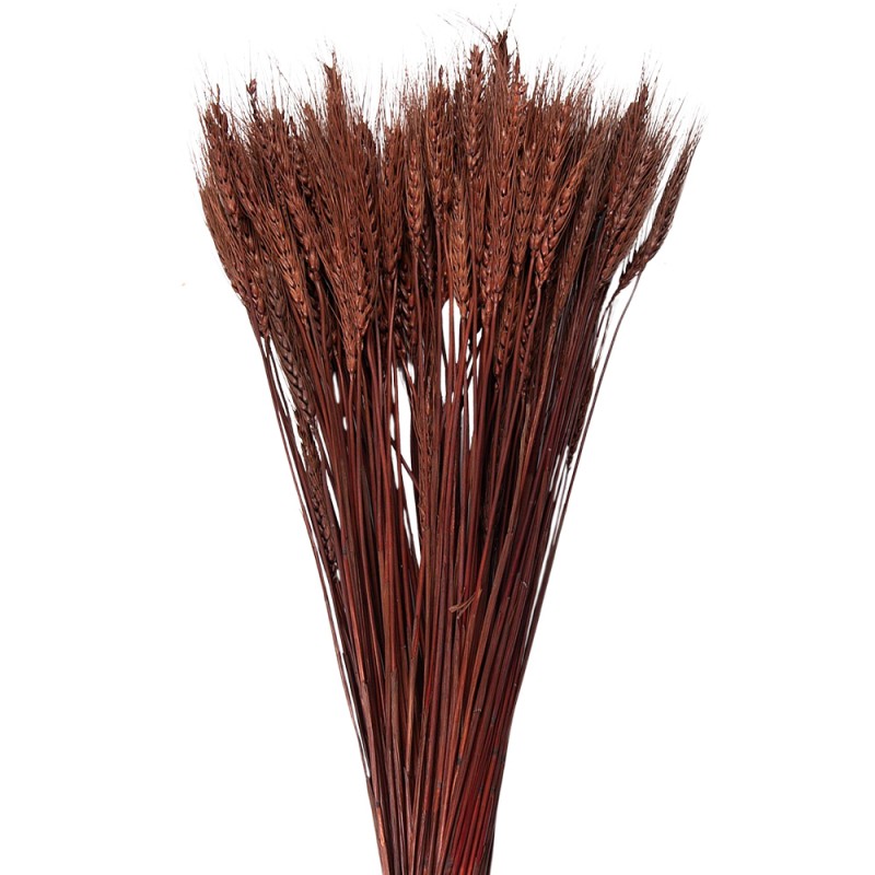 5DF0011 Dried Flowers 80 cm Brown Dried Flowers Bouquet of Dried Flowers