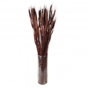 25DF0011 Dried Flowers 80 cm Brown Dried Flowers Bouquet of Dried Flowers