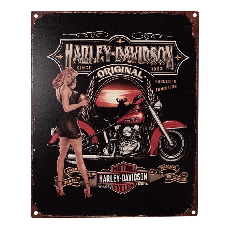 6Y5213 Plaque de texte 20x25 cm Noir Rouge Fer Femme avec moto Plaque murale