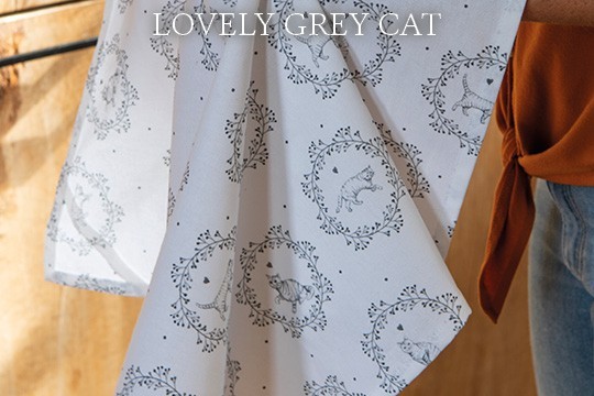 LGC Lovely Grey Cat