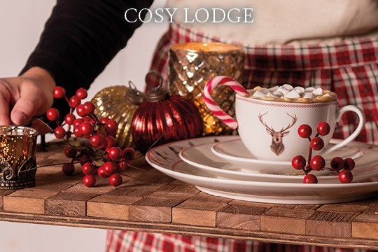 Cosy Lodge